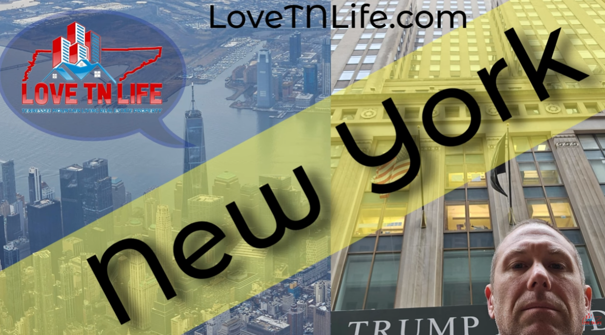 Read more about the article New York with a Kid 2025